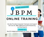 JBPM Online Training and job support service