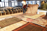 Luxury Apartment Rugs – Sophisticated & Chic | Saraswati Global 