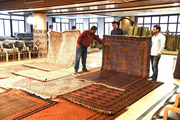 Premium Rugs & Carpet Store Near Me | Saraswati Global